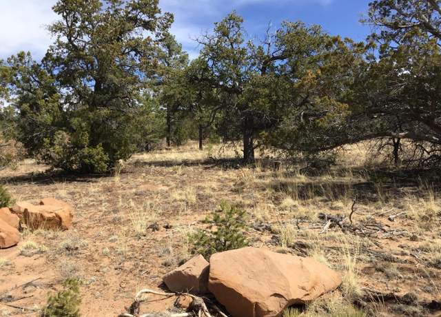 Property at Lot 707 Che Loop, Ramah, NM 87321