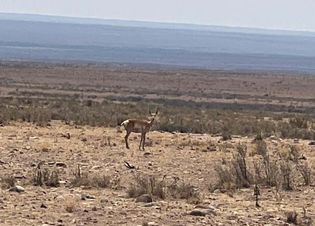 Property at Rolling Hills Lot 47, San Antonio, NM 87801
