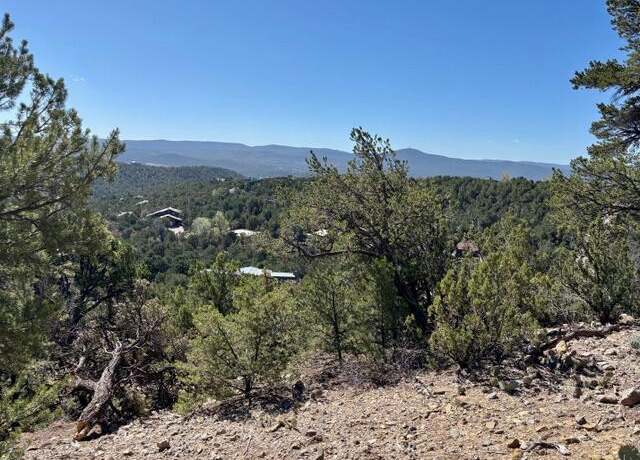 Property at Los Amigos Ct, Cedar Crest, NM 87008