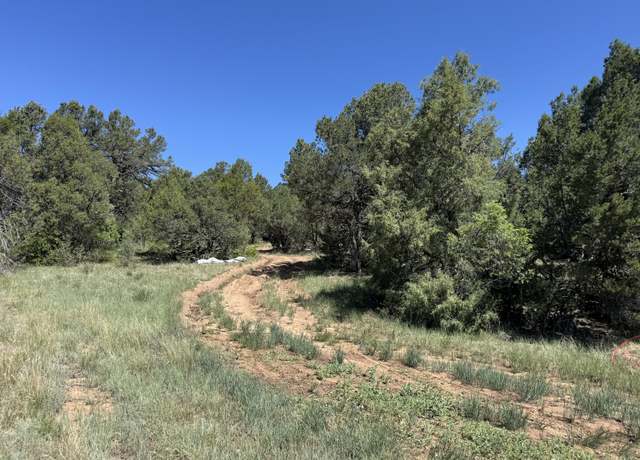 Property at 58 Candelaria Rd, Tijeras, NM 87059