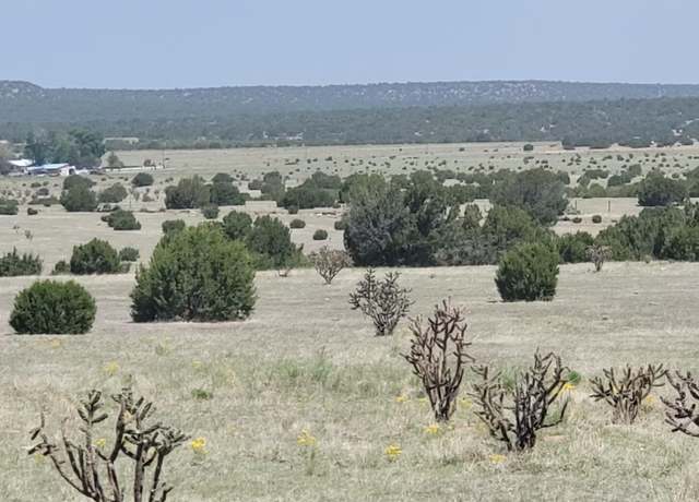 Property at 40 Brazos Ct, Estancia, NM 87016