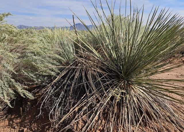 Property at Vl Tierra Grande Lot 4 Block 11 #10, Socorro, NM 87801