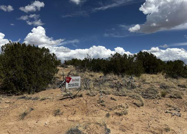 Property at 0 Wild Onion Rd, Medanales, NM 87548