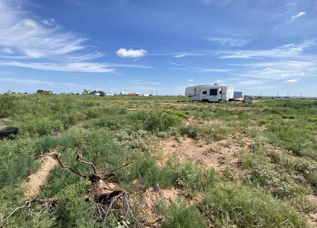 Property at State Road 203, NM 88119