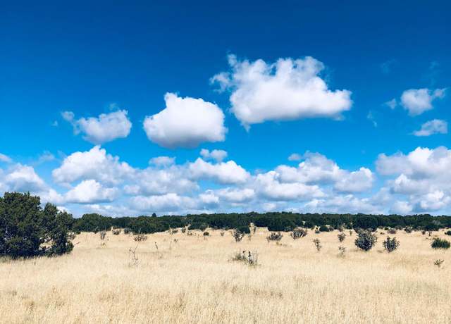 Property at Mission Hills Lot 10, Estancia, NM 87016