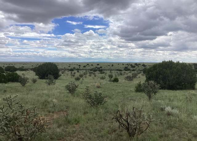 Property at Mission Hills Rd Tract E, Estancia, NM 87016