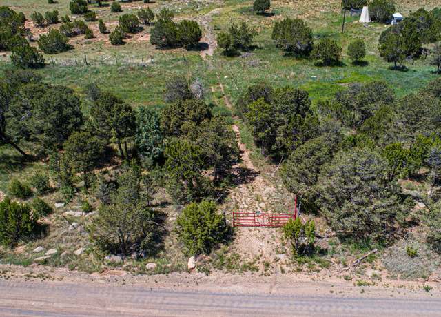 Property at 36 Forest Rd 321 Rd, Estancia, NM 87016