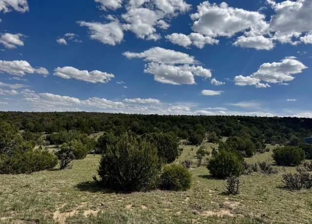 Property at 226 Nugent Rd, Edgewood, NM 87015