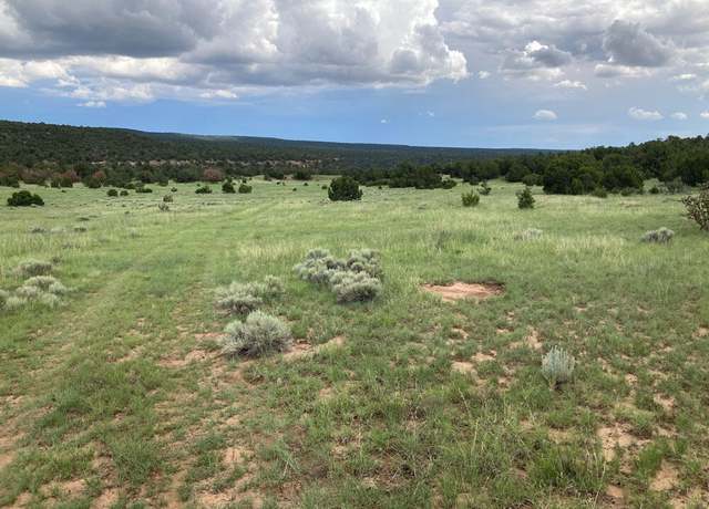 Property at S Highway 34, Rowe, NM 87562
