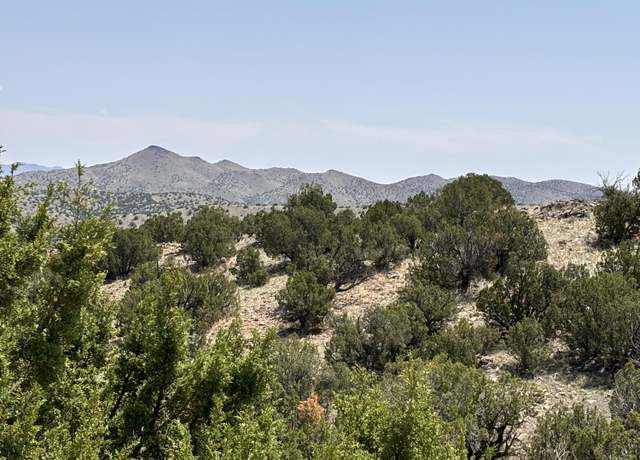 Property at Lot 13 Abbe Springs Rnch, Magdalena, NM 87825