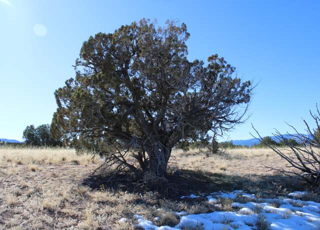 Property at 105 Acres Demetrio Rd, Sandia Park, NM 87047