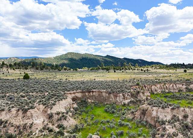 Property at W1/2se1/4 Sec 25, Regina, NM 87046