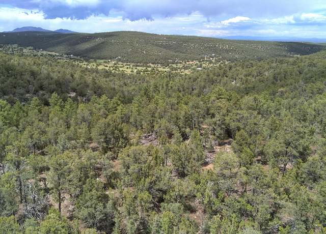 Property at Mccomb Rd, Edgewood, NM 87015
