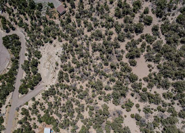 Property at 92 Sandia Mountain Ranch Dr, Tijeras, NM 87059