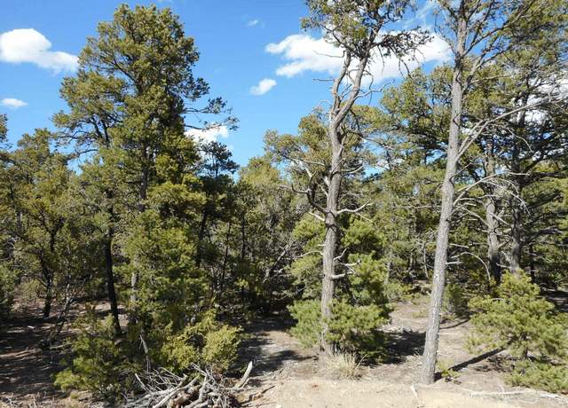 Property at 21 Cresta Vista Ct, Tijeras, NM 87059