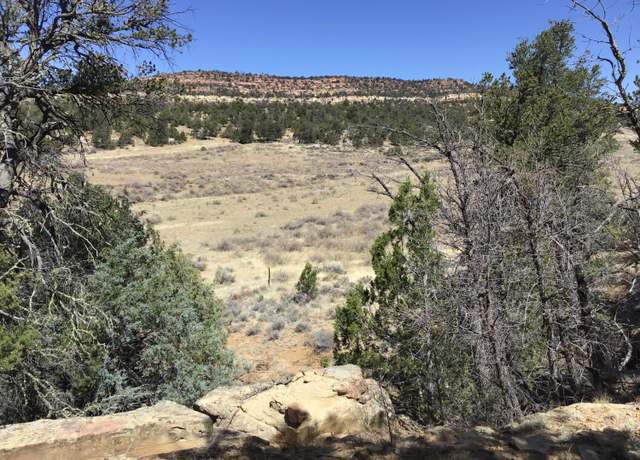 Property at 3239 Hwy 53, Ramah, NM 87321
