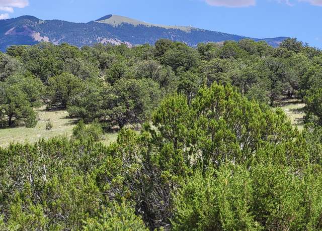 Property at 38.9 Acres Dark Cyn, Magdalena, NM 87825