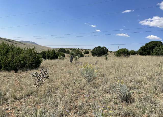 Property at 191 Kirkland Rd, Silver City, NM 88061