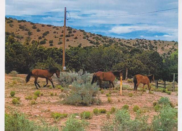 Property at Tres Amigos, Placitas, NM 87043