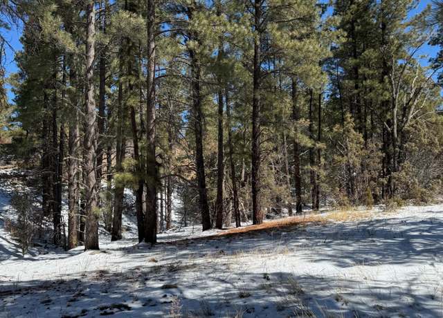 Property at Sawmill Canyon Rd, Ramah, NM 87321