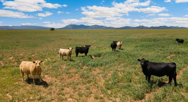 Photo of Undisclosed Address, Stanley, NM 87056