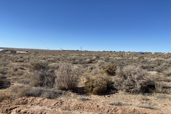 are there lots of snakes in rio rancho nm are there lots of snakes in rio rancho nm
