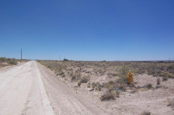 are there lots of snakes in rio rancho nm are there lots of snakes in rio rancho nm