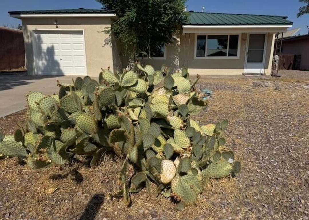 707 Caine St, Socorro, NM 87801