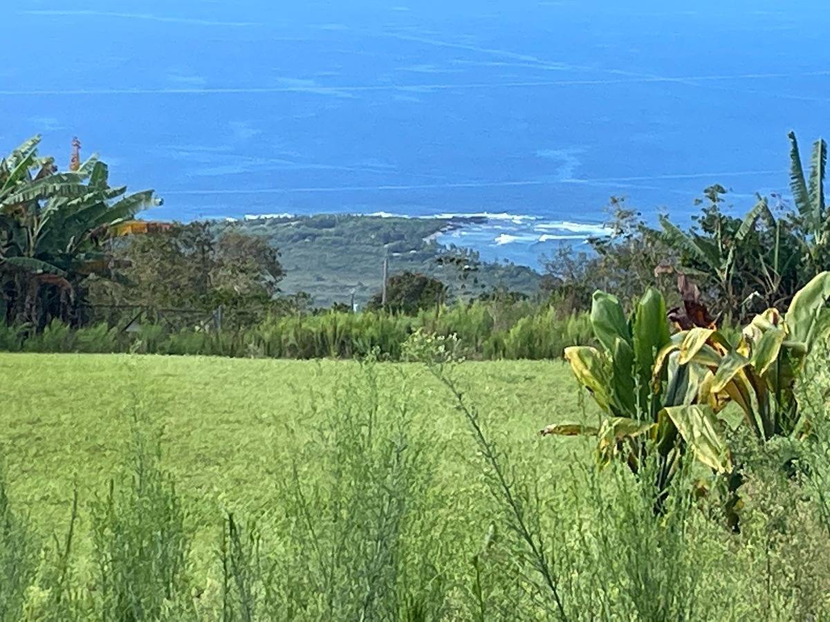 Private Rd, Captain Cook, HI 96704