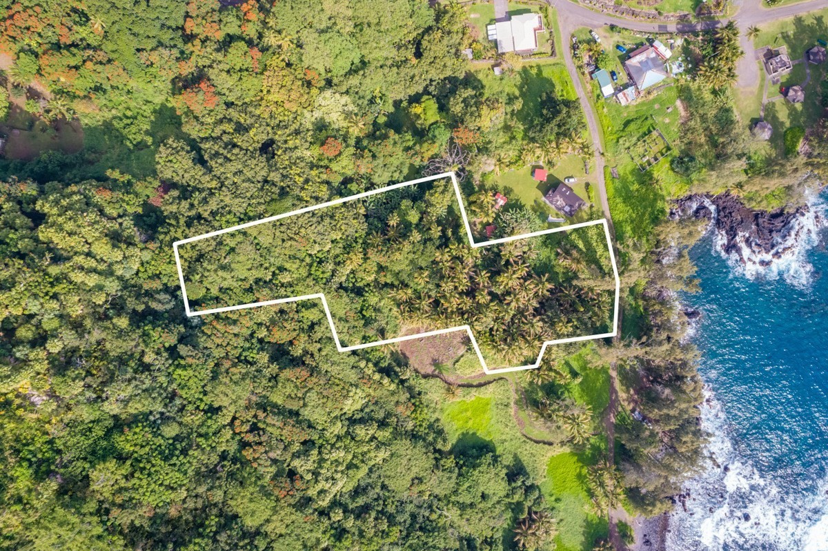 361056 LAUPAHOEHOE, Laupahoehoe, HI 96764 MLS 702441 Redfin