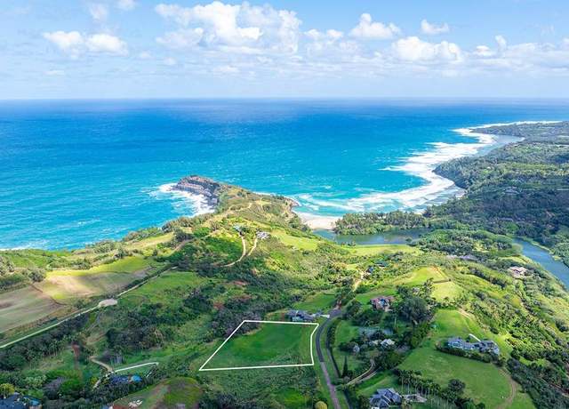 Property at 4095 Pali Moana Pl, Kilauea, HI 96754