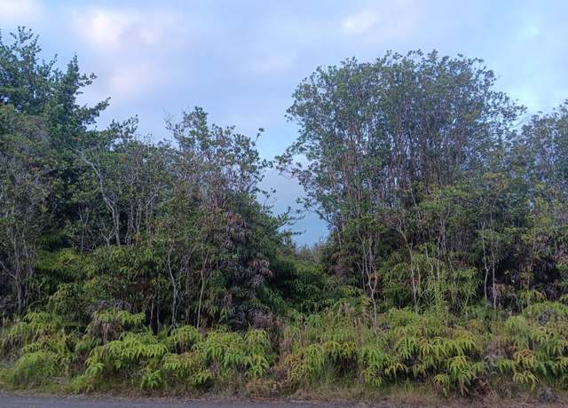 Property at Road 3 (hopue), Mountain View, HI 96771
