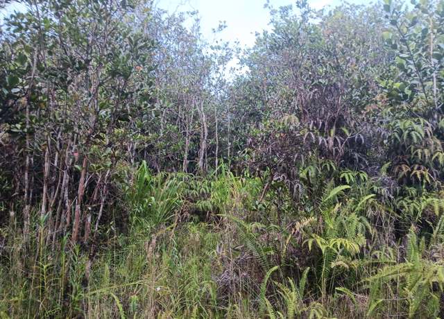 Property at Road 3 (hopue), Mountain View, HI 96760