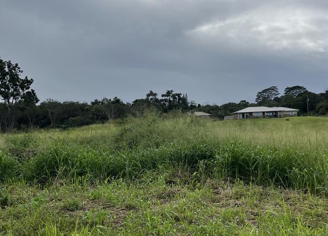 Property at Young Rd, Hilo, HI 96720