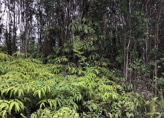 Property at Kokokahi Rd, Volcano, HI 96785