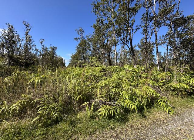 Property at Uakoko Rd, Volcano, HI 96785