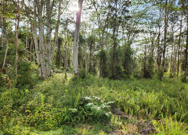 Property at Kehau Rd, Pahoa, HI 96778
