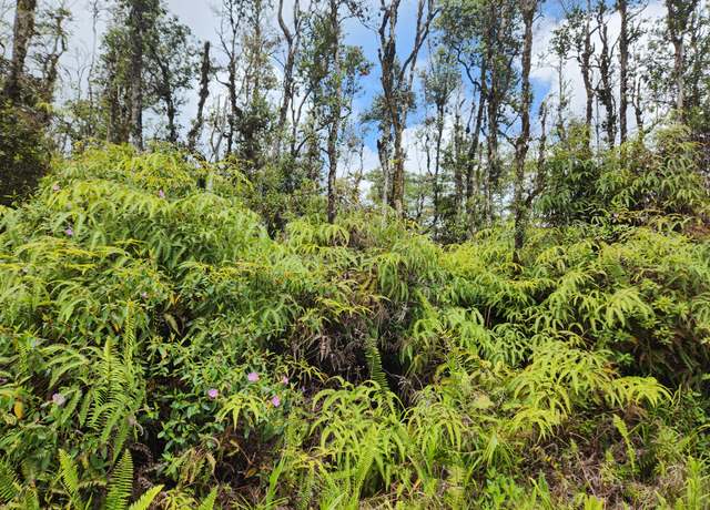Property at Molokai Rd, Pahoa, HI 96778