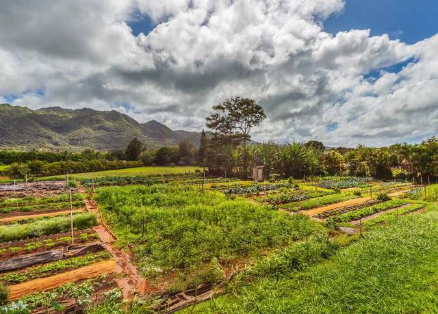 Property at 6235 Koolau Rd, Anahola, HI 96703