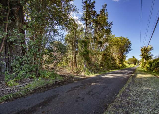 Property at Peck Rd, Volcano, HI 96785