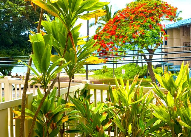 Property at 75-5919 Alii Dr Unit CC4, Kailua-kona, HI 96740, 3 beds, 3 baths