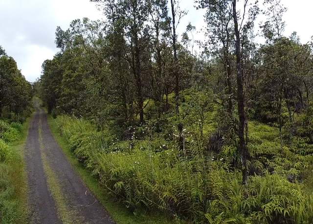 Property at Akala St, Mountain View, HI 96771