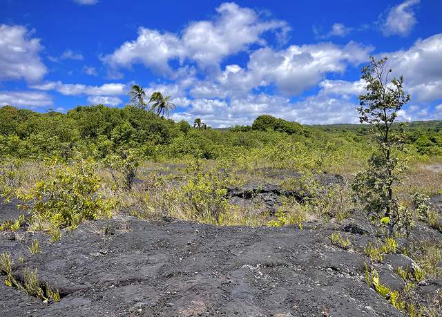 Property at 12-4786 Kaimu Chain OF Craters Rd, Pahoa, HI 96778