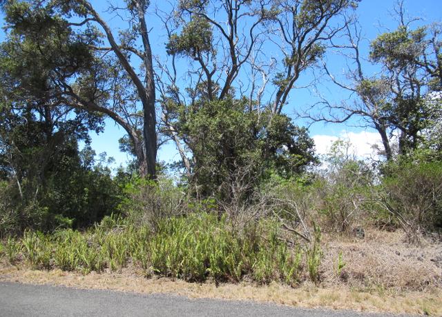 Property at Bamboo Ln, Ocean View, HI 96737