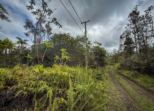 Property at Road 10 (poouli), Kurtistown, HI 96760