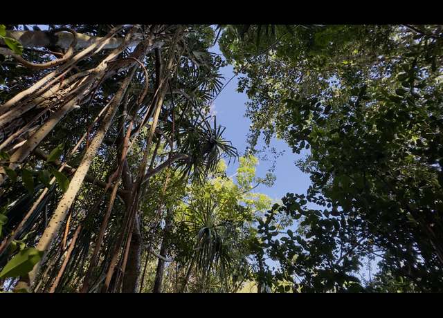 Property at Kilika Rd, Keaau, HI 96749