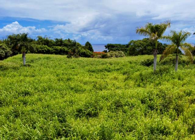 Property at 31-154 Hawaii Belt Rd, Ninole, HI 96773