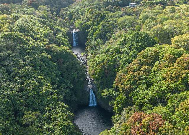 Property at 27-870 Old Mamalahoa Hwy, Pepeekeo, HI 96783