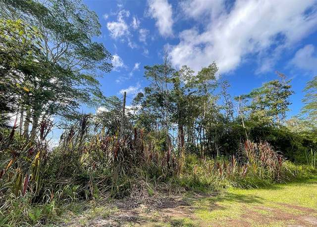 Property at 14-3245 Mauna Kea Rd, Pahoa, HI 96778