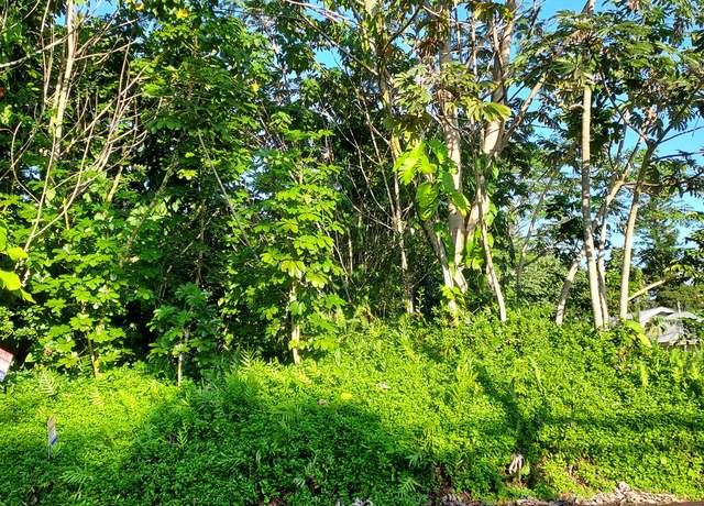 Property at 15-714 Kahakai Blvd, Pahoa, HI 96778